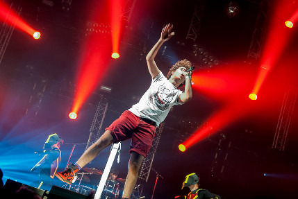 the wombats